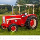 Kalender: Februar mit Tagen nummeriert. Roter McCormick 353 Traktor auf einer grünen Wiese vor bewaldeter Landschaft.