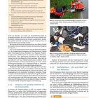 MERKE 4 S: Scene, Safety, Situation, Support. Abb. 4: Motorradunfall. Abb. 5: Kind neben Fahrrad. Abschnitt 2.2.3 Notfallpatient.