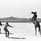 Zwei Cowboys halten ein aufgebäumtes Pferd mit einem Lasso, im Hintergrund sind Berge zu sehen.