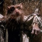 Ich kann die Texte im Bild nicht lesen. Eine verwitterte Ratte in zerlumpter Kleidung, eingefangen von einem Zaun umgeben.