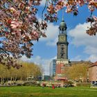 Kein Text erkennbar. Eine Kirche mit einem hohen Turm, umgeben von Bäumen und blühenden Kirschblüten im Vordergrund.