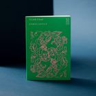 Grünes Buchcover mit Geschichten von James Joyce: "Eveline", "A Little Cloud", "A Mother", "Araby", "A Painful Case", "The Boarding House".