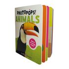 Das Buch hat den Titel "PHOTOPOPS! ANIMALS" und zeigt einen Tukan mit hellem Schnabel auf grünem Hintergrund.