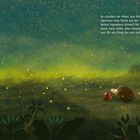 "So standen die Maus, das Fröschlein, der Igel und das Opossum...". Illustration: Tiere blicken in eine sternenklare Nacht.