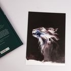 Links ein Buchrücken mit Text. Rechts eine Illustration eines Löwenkopfs im Profil in dynamischen Pinselstrichen.