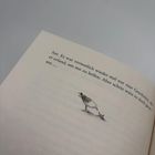 Text: "hat. Es war vermutlich wieder mal nur eine Geschichte, die er erfand, um mir zu helfen. Aber schön wäre es doch gewesen..."

Illustration: Vogel steht vor einem kleinen Küken.