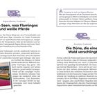 Pinke Seen, rosa Flamingos und weiße Pferde. Die Düne, die einen Wald verschlingt. Einführungstext über Aigues-Mortes.