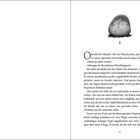 Seite 9. Oben rechts ist eine Illustration eines Steins mit Spiralmuster auf Gras. Text beschreibt Kinder in Regenkleidung.