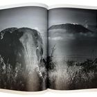 Seite 50. Ein Elefant in einem schwarz-weißen Foto, im Hintergrund ein Berg mit Wolken.