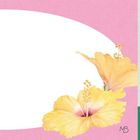 Text: MB. Illustration mit rosa und gelbem Hibiskus, violettem Schmetterling, grünem Streifenmuster.