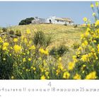 "Sierra de Grazalema", Aprilkalender. Hügel mit blühendem Ginster und altem Haus im Hintergrund. Klarer Himmel.