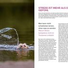 Texte: "STRESS IST MEHR ALS EIN GEFÜHL", "Man kann nicht schwimmen lernen, ohne nass zu werden". Hund schwimmt mit Spielzeug.