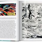 Linke Seite: Text über Künstler und Marvel Comics. Rechte Seite: Comic-Illustrationen mit dem Silver Surfer in actionreichen Szenen.
