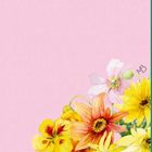 Illustration mit Initialen "MB", Blumen unten links und rechts, rosa Hintergrund, weißer Kreis rechts mit grünen Streifen.