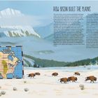 Text oben rechts: "HOW BISON BUILT THE PLAINS". Darunter Beschreibung der Entwicklung der Great Plains und der Rolle der Bisons. Unten eine Karte von Nordamerika und Bisons auf Wiese vor Bergen.