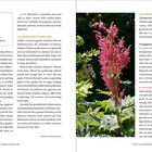 MEDICINAL USES: Root, rhizome. Cold, Bitter. Spleen, stomach, liver, pericardium. Beschreibung von Rhabarber als medizinische Pflanze.