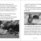 Texte beschreiben eine aufregende Szene mit Eulen, Kriegern und einer Bedrohung. Illustrationen von Vögeln und einem schildbewehrten Eulenkrieger.