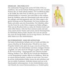 „Grundlage – Der stabile Sitz“ und „Die Sitzbeinhöcker – Basis der Aufrichtung“ beschreiben Sitzhaltung und Körperbewusstsein. Rechts eine Person in einem gelben Anzug.