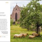 Text: "Heilige Elisabeth von Thüringen." Daneben eine detaillierte Holzfigur einer gekrönten Frau, die ein Gebäude hält.