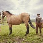 Drei Männer in Mänteln stehen mit einem Pferd auf einer Wiese; bewölkter Himmel im Hintergrund.