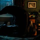 Ein großer, dunkler Vogel sitzt auf einem Sessel in einem schwach beleuchteten Raum. Links ein Fenster, rechts Bücher und eine Lampe.