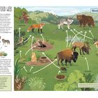 "Great Plains Food Web", "Bison Food Web". Illustration zeigt Tiere, Pflanzen und deren Verbindungen in einer Landschaft.