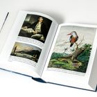 Ein aufgeklapptes Buch zeigt Bilder: ein Mann, eine Landschaft mit Schiffen, einen Eisvogel und eine Krabbe in einem Baum.