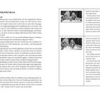 7.4 Erzählvorschlag: Material und Videos beschrieben. Dialog über David, Harfe und Gottvertrauen. Zwei Bilder mit Figuren.