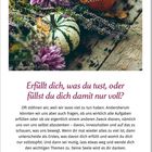 Ein Kalenderblatt für den 17. Oktober 2027 mit einem inspirierenden Zitat. Foto: Kürbisse, Heidekraut, rosa Blumen.