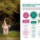 Links springt ein Hund von hinten, rechts ein Diagramm zum Thema "Stressreaktionen" und "Verhalten des Körpers".