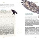 "Teil 4: Wichtig - Raben sind keine Unglücksboten. Die Eule - die stille Wächterin der Nacht. Illustration: Eule mit ausgebreiteten Flügeln, schwarzer Rabe."