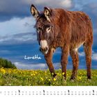 Loretta steht vor einem bewölkten Himmel auf einer Wiese mit gelben Blumen. Darunter ist der September-Kalender abgebildet.