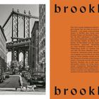 Links eine Szene in Brooklyn mit der Manhattan Bridge, rechts der Text über Brooklyn und dessen Besonderheiten.