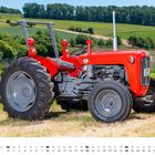 Text: „AUGUST“ und „Massey-Ferguson MF35“. Ein roter Traktor steht auf einem Feld, im Hintergrund eine hügelige Landschaft.