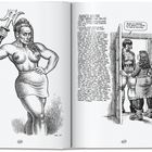 Links: "ALINE'S DREAM" und Text darunter. Rechts: Zwei Frauen an einer Tür, eine fragt nach R. Crumb. Schwarz-Weiß-Illustrationen.