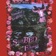 Ariel Pink: Scared Famous/FF (remastered), 2 LPs