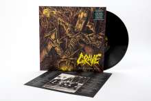 Grave: Dominion VIII (Re-issue 2019) (remastered) (180g), LP