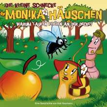 Die kleine Schnecke Monika Häuschen 24. Warum laufen Fliegen an der Decke?, CD