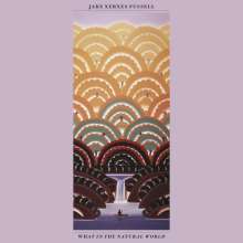 Jake Xerxes Fussell: What In The Natural World, LP