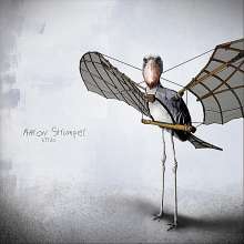 Aaron Strumpel: Birds, CD