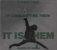 Guided By Voices: It's Not Them. It Couldn't Be Them. It's Them!, CD