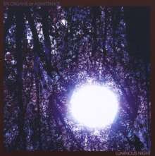 Six Organs Of Admittance: Luminous Night, CD