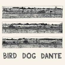 John Parish: Bird Dog Dante, LP