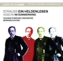 Richard Strauss (1864-1949): Ein Heldenleben, Super Audio CD
