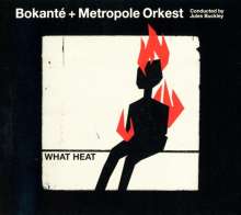 Bokanté + Metropole Orkest: What Heat, CD