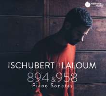 Franz Schubert (1797-1828): Klaviersonaten D.894 &amp; 958, CD