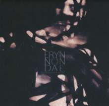 Eryn Non Dae.: Abandon Of The Self, CD