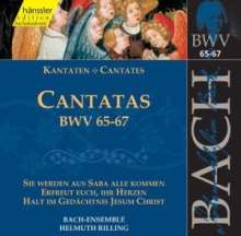 Johann Sebastian Bach (1685-1750): Die vollständige Bach-Edition Vol.21 (Kantaten BWV 65-67), CD