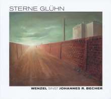 Hans-Eckardt Wenzel: Sterne glühn, CD