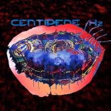 Animal Collective: Centipede Hz (150g), 2 LPs